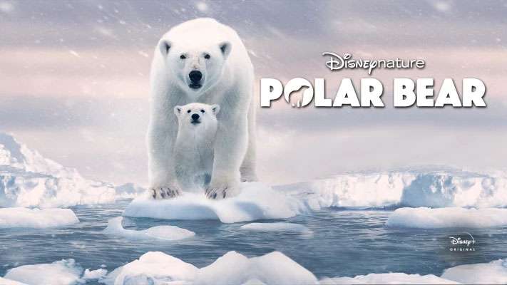 فيلم Polar Bear 2022 مترجم كامل HD